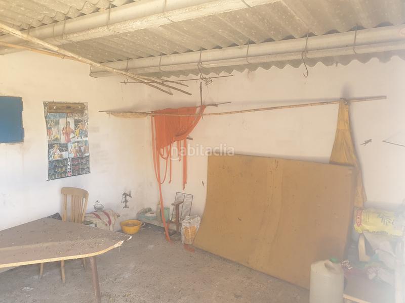 Foto 3ec68e26-c4fc-4a6b-9e63-4d46aec1cce5. Terreny residencial a Xerta Foto 3ec68e26-c4fc-4a6b-9e63-4d46aec1cce5. Terreny residencial a Xerta