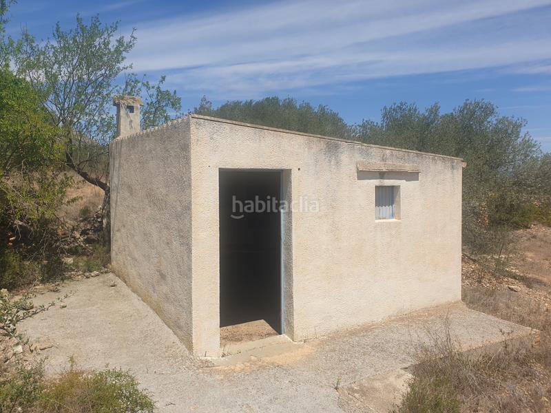 Foto 41113936-f933-4d80-8559-43a02cbe8a16. Terreny residencial a Xerta Foto 41113936-f933-4d80-8559-43a02cbe8a16. Terreny residencial a Xerta