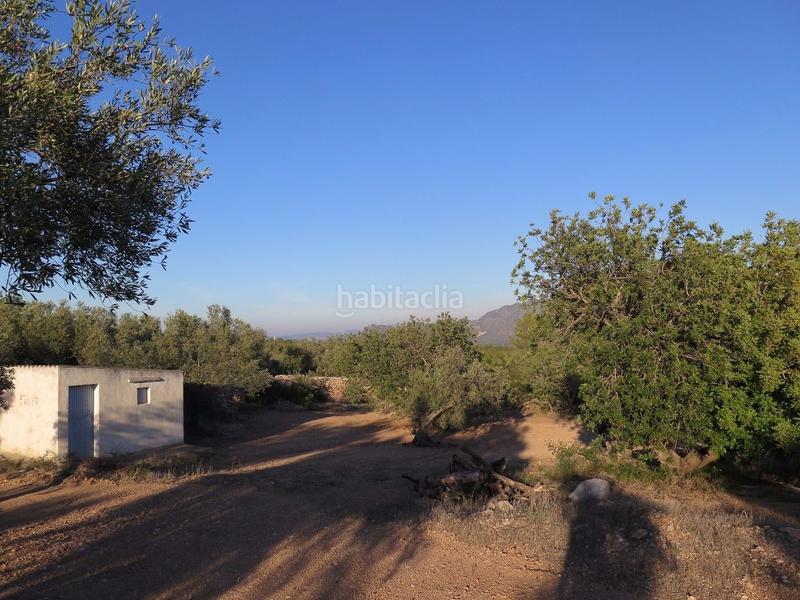 Foto 46c2a4d7-20d1-4391-8932-9e4dfe36f5bc. Terreny residencial a Xerta Foto 46c2a4d7-20d1-4391-8932-9e4dfe36f5bc. Terreny residencial a Xerta