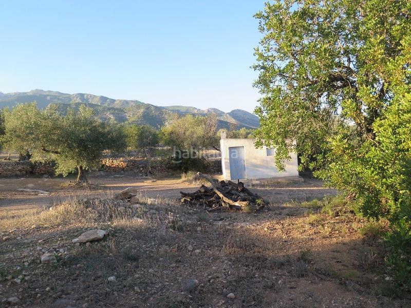 Foto 862e3d13-bdf6-4331-a7b7-d0bd4c11f69d. Terreny residencial a Xerta Foto 862e3d13-bdf6-4331-a7b7-d0bd4c11f69d. Terreny residencial a Xerta