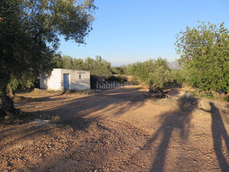 Foto 9cc64f60-1ec8-441b-886d-53584187e6a4. Terreny residencial a Xerta Foto 9cc64f60-1ec8-441b-886d-53584187e6a4. Terreny residencial a Xerta