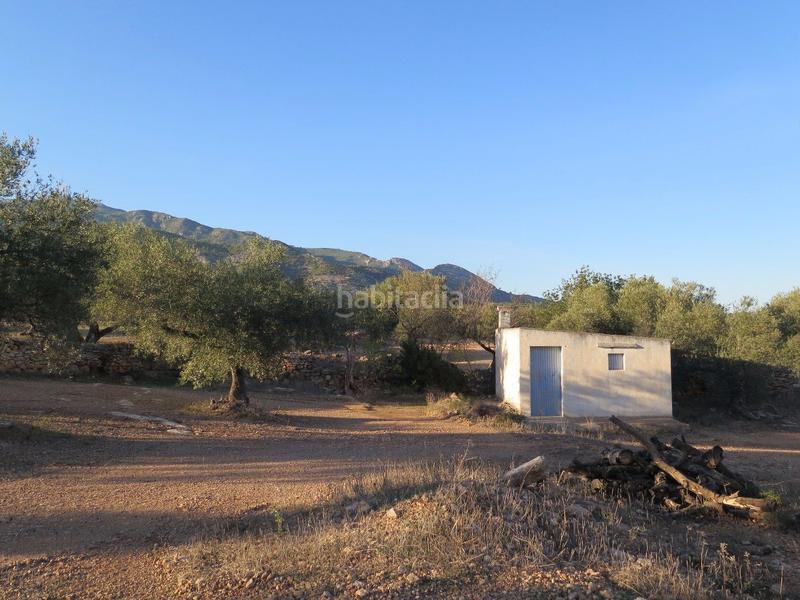 Foto f80a5dd2-dd41-4d09-a507-52929e147713. Terreny residencial a Xerta Foto f80a5dd2-dd41-4d09-a507-52929e147713. Terreny residencial a Xerta