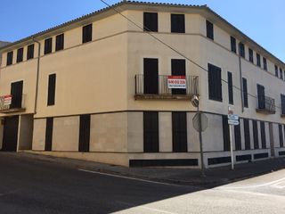 PALMA A SINEU_2001##930008114 PALMA A SINEU_2001##930008114