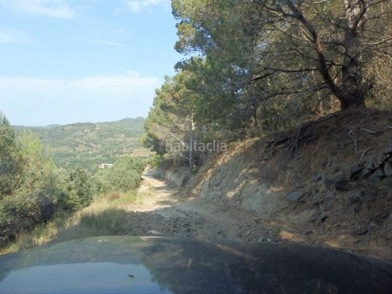 Foto 50efb0f4-f11d-44a7-a02a-76d2bcd284e7. Finca rústica a Aleixar (L´) Foto 50efb0f4-f11d-44a7-a02a-76d2bcd284e7. Finca rústica a Aleixar (L´)