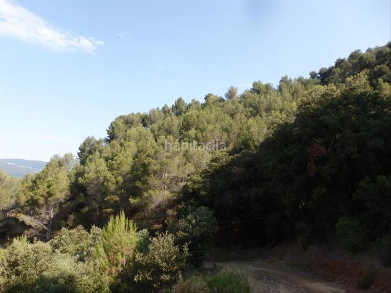 Foto 52950cbd-67e9-4e2e-bdc0-21046e8df3a0. Finca rústica a Aleixar (L´) Foto 52950cbd-67e9-4e2e-bdc0-21046e8df3a0. Finca rústica a Aleixar (L´)