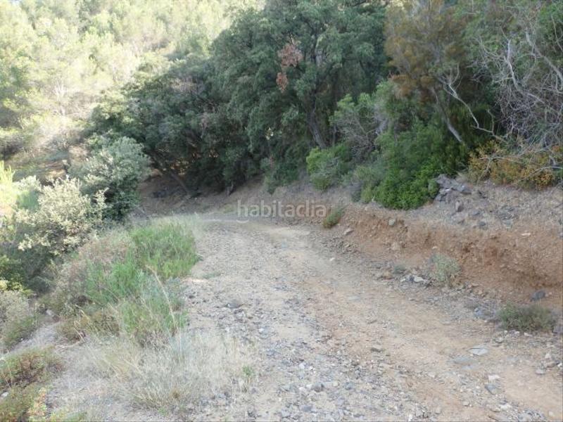 Foto 75bfa1e2-d0c3-4926-a7ce-e927d3bb9f29. Finca rústica a Aleixar (L´) Foto 75bfa1e2-d0c3-4926-a7ce-e927d3bb9f29. Finca rústica a Aleixar (L´)