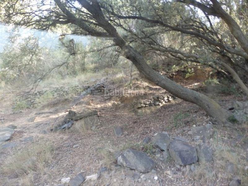 Foto b1221482-6bb7-41d2-8b88-fc74331fb7e4. Finca rústica a Aleixar (L´) Foto b1221482-6bb7-41d2-8b88-fc74331fb7e4. Finca rústica a Aleixar (L´)