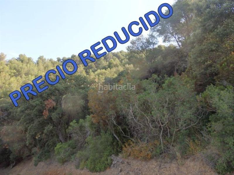 Foto bb22bd66-cb9e-455b-a8ad-b36840826b27. Finca rústica a Aleixar (L´) Foto bb22bd66-cb9e-455b-a8ad-b36840826b27. Finca rústica a Aleixar (L´)