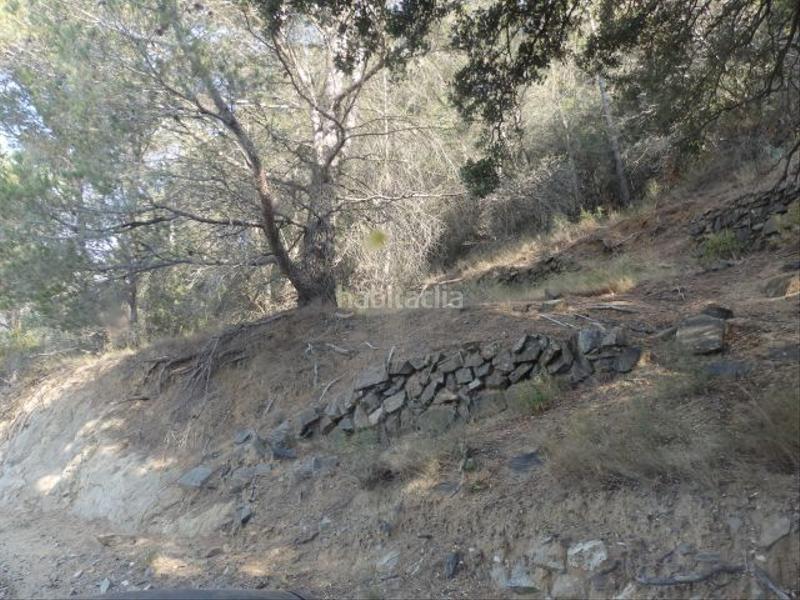 Foto cdad724d-cabe-42a3-8c92-aa362102105c. Finca rústica a Aleixar (L´) Foto cdad724d-cabe-42a3-8c92-aa362102105c. Finca rústica a Aleixar (L´)