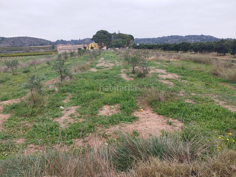 Foto b53835c7-1ab7-43ae-9037-d40bcf42eca5. Terreny residencial a Vilamarxant Foto b53835c7-1ab7-43ae-9037-d40bcf42eca5. Terreny residencial a Vilamarxant