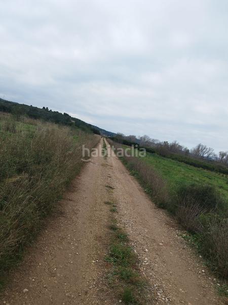 Foto ee0fefc6-1910-46be-bb8c-4b2d94ad3012. Terreny residencial a Vilamarxant Foto ee0fefc6-1910-46be-bb8c-4b2d94ad3012. Terreny residencial a Vilamarxant