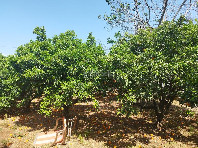 Foto c665b3ee-4cfd-4d97-972b-fd57c80e4301. Xalet amb piscina a Urbanitzacions i Pedanies Nord Alzira Foto c665b3ee-4cfd-4d97-972b-fd57c80e4301. Xalet amb piscina a Urbanitzacions i Pedanies Nord Alzira