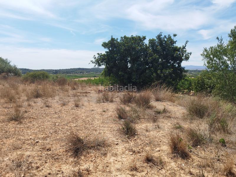 Foto 6450e011-4352-4e17-a33b-ca075c0af9ab. Masía en Cañada Foto 6450e011-4352-4e17-a33b-ca075c0af9ab. Masía en Cañada