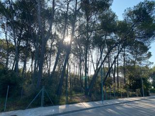 Residential Plot in Carrer de les mares de la plaça de maig 95. Oportunidad parcela castellarnau Residential Plot in Carrer de les mares de la plaça de maig 95. Oportunidad parcela castellarnau
