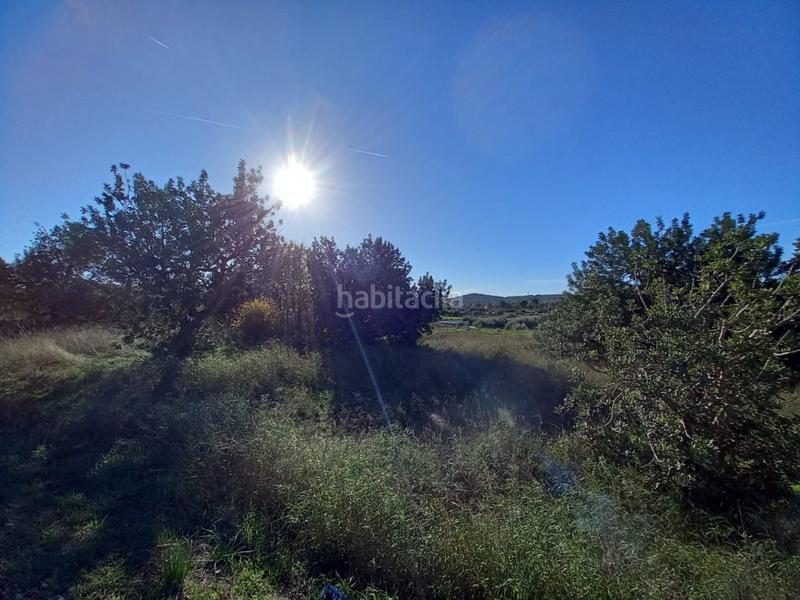 Foto ca9cf122-2f7c-4fbd-9671-55c44a4f173c. Terreny residencial a Santa Bárbara Llíria Foto ca9cf122-2f7c-4fbd-9671-55c44a4f173c. Terreny residencial a Santa Bárbara Llíria
