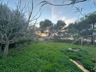 Finca rústica a Cala en Porter. Parcela esquinera edificable en venta en el centro de calan port Finca rústica a Cala en Porter. Parcela esquinera edificable en venta en el centro de calan port