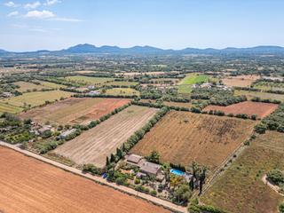 Finca rústica a Felanitx Poble. Terreno rústico edificable con agua en felanitx, mallorca Finca rústica a Felanitx Poble. Terreno rústico edificable con agua en felanitx, mallorca