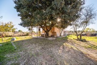 Finca rústica a Felanitx Poble. Terreno con construcción de 3.902 m² en felanitx, mallorca Finca rústica a Felanitx Poble. Terreno con construcción de 3.902 m² en felanitx, mallorca