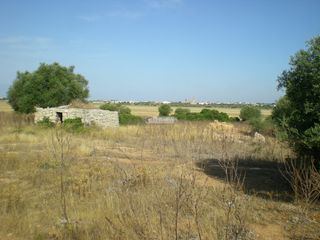 Finca rústica en Polígono 8,, 55. Gran finca en ses salines Finca rústica en Polígono 8,, 55. Gran finca en ses salines