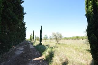 Propriété Carrer malentivet. En venta, finca rústica en alcalá de xivert (castellón) Propriété Carrer malentivet. En venta, finca rústica en alcalá de xivert (castellón)