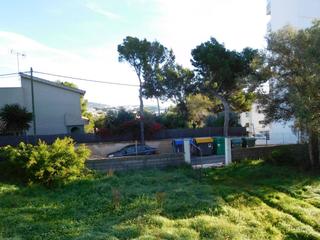 Residential Plot in Palmanova. Solar edificable de 1295m2 en llano con poca pendiente,desde la Residential Plot in Palmanova. Solar edificable de 1295m2 en llano con poca pendiente,desde la