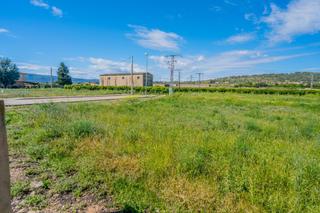 Terreny residencial Avenida avenida ronda blasco ibáñez. Terreno en chella con mil posibilidades! Terreny residencial Avenida avenida ronda blasco ibáñez. Terreno en chella con mil posibilidades!