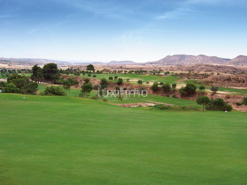 Foto b18587a9-4a6d-421e-b6ae-53ecb4a5115f. Dúplex amb calefacció piscina a Monforte del Cid Foto b18587a9-4a6d-421e-b6ae-53ecb4a5115f. Dúplex amb calefacció piscina a Monforte del Cid