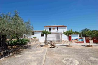 Rural plot 6 km a la playa y al centro de pueblo. Finca rustica a 6 km de la playa Rural plot 6 km a la playa y al centro de pueblo. Finca rustica a 6 km de la playa