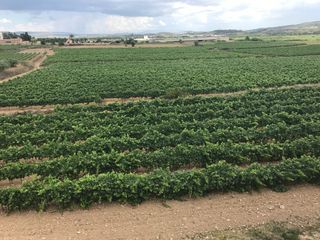 Masía en Avinguda penedes, 1. Impresionante Masía en Avinguda penedes, 1. Impresionante