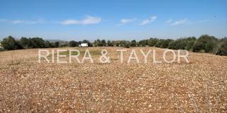 Finca rústica a Manacor Centre. Terreno en manacor Finca rústica a Manacor Centre. Terreno en manacor