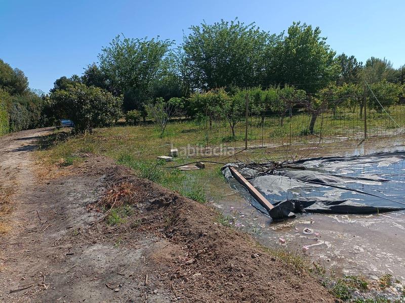 Foto 3b0caa2c-6386-401d-830b-69b0a6f5256f. Fondo rustico in El Llano Molina de Segura Foto 3b0caa2c-6386-401d-830b-69b0a6f5256f. Fondo rustico in El Llano Molina de Segura