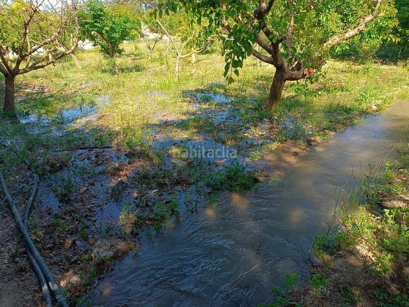Foto ffe3c667-4e1c-4798-b40a-a0b7a68179d8. Fondo rustico in El Llano Molina de Segura Foto ffe3c667-4e1c-4798-b40a-a0b7a68179d8. Fondo rustico in El Llano Molina de Segura