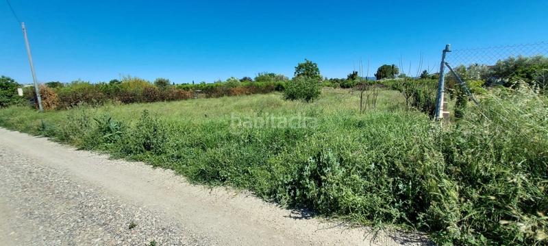 Foto c99ac5ae-3d2a-467a-8f81-be7210839a0d. Fondo rustico in Alguazas Foto c99ac5ae-3d2a-467a-8f81-be7210839a0d. Fondo rustico in Alguazas