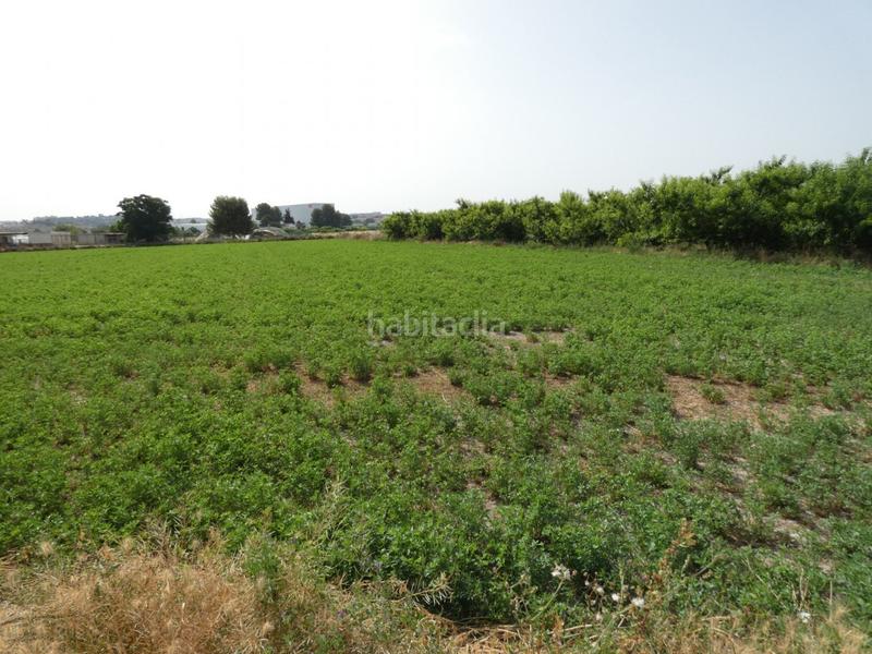 Foto 09ec5bcc-7cda-426f-8816-f116199753ae. Fondo rustico in Alguazas Foto 09ec5bcc-7cda-426f-8816-f116199753ae. Fondo rustico in Alguazas