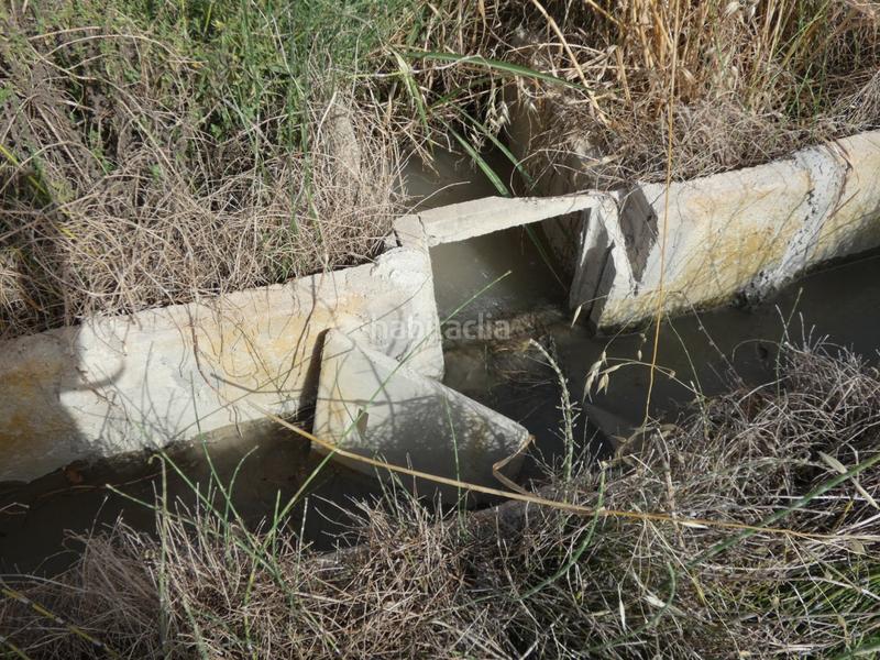 Foto 5d2fb460-8194-4dc3-a1ef-31099082bc08. Fondo rustico in Alguazas Foto 5d2fb460-8194-4dc3-a1ef-31099082bc08. Fondo rustico in Alguazas