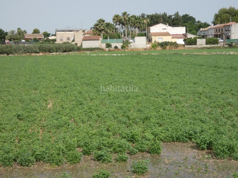 Foto 92f4281a-d0c7-4fc1-8da1-0bdfdf0f942d. Fondo rustico in Alguazas Foto 92f4281a-d0c7-4fc1-8da1-0bdfdf0f942d. Fondo rustico in Alguazas