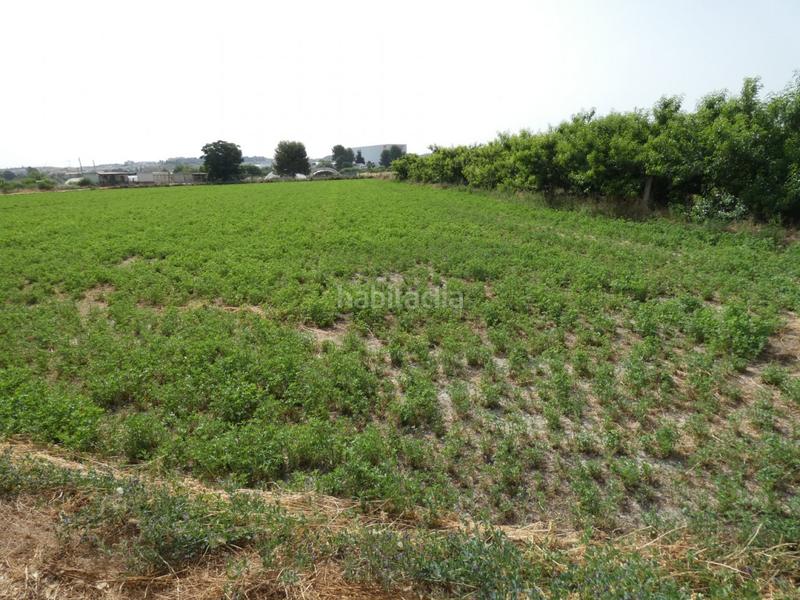 Foto 9f5b8898-cf49-48d7-8d64-7b5c22282721. Fondo rustico in Alguazas Foto 9f5b8898-cf49-48d7-8d64-7b5c22282721. Fondo rustico in Alguazas