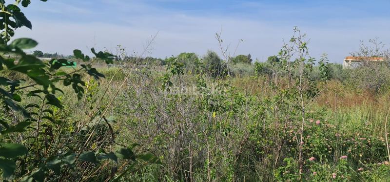 Foto 9e1c027c-43ec-49bb-8daa-943fb3e4e93f. Landgut in El Llano Molina de Segura Foto 9e1c027c-43ec-49bb-8daa-943fb3e4e93f. Landgut in El Llano Molina de Segura