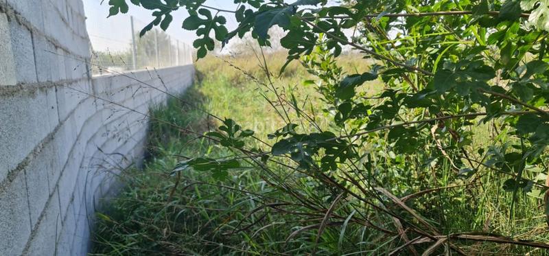 Foto d9c91086-716b-4211-b510-73ac3f62c24e. Landgut in El Llano Molina de Segura Foto d9c91086-716b-4211-b510-73ac3f62c24e. Landgut in El Llano Molina de Segura