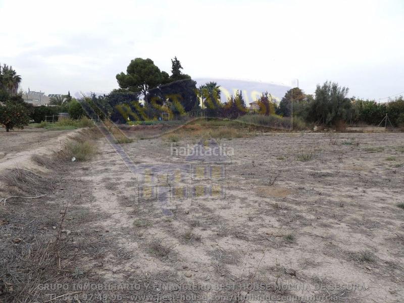 Foto 100da767-79ce-4cb6-bd82-4bc758ada7ae. Fondo rustico in El Llano Molina de Segura Foto 100da767-79ce-4cb6-bd82-4bc758ada7ae. Fondo rustico in El Llano Molina de Segura