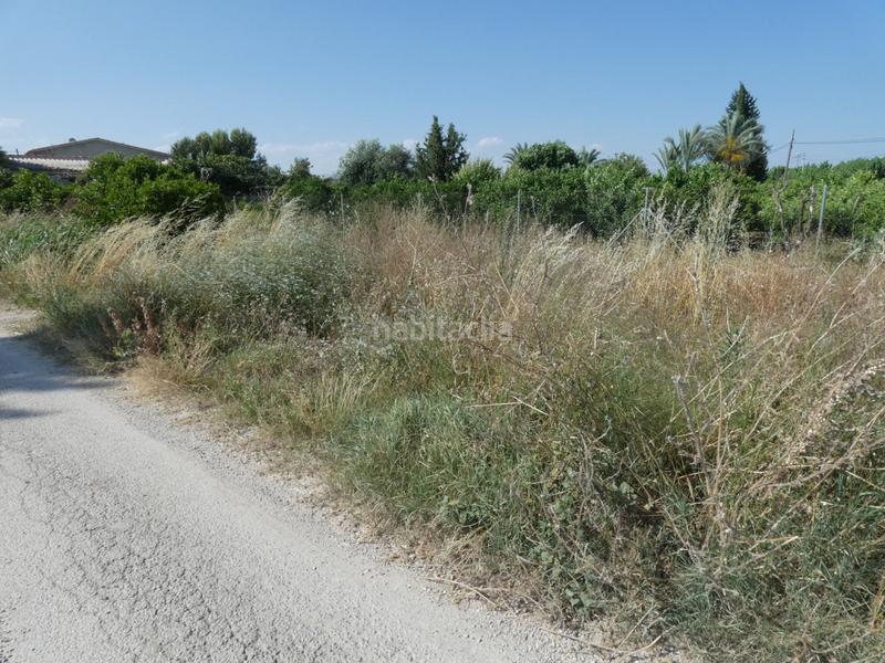 Foto 458aa713-b1ce-44e3-8a1d-ba6ea056c98e. Terrain résidentiel dans El Llano Molina de Segura Foto 458aa713-b1ce-44e3-8a1d-ba6ea056c98e. Terrain résidentiel dans El Llano Molina de Segura