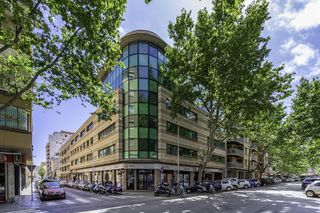 Oficina Centro. Palma / centro Oficina Centro. Palma / centro