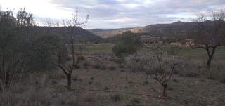 Finca rústica a Benissanet. Suelo agrícola en venta en la fatarella Finca rústica a Benissanet. Suelo agrícola en venta en la fatarella