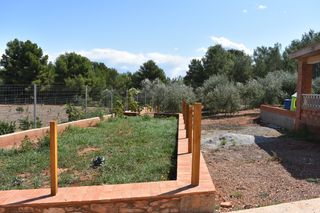 Finca rústica Partida sala. Terreno con vivienda Finca rústica Partida sala. Terreno con vivienda