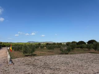 Fondo rustico in Onda. Terreno con caseta de aperos en onda  listo para cultivar y disf Fondo rustico in Onda. Terreno con caseta de aperos en onda  listo para cultivar y disf
