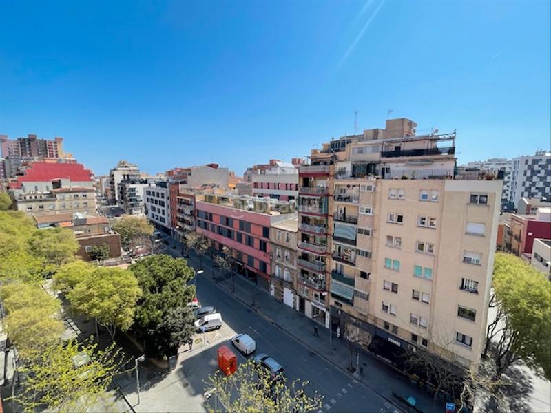 Foto d423b7f9-079f-4af1-bc09-13642430bd8a. Pis a Gorg Badalona Foto d423b7f9-079f-4af1-bc09-13642430bd8a. Pis a Gorg Badalona