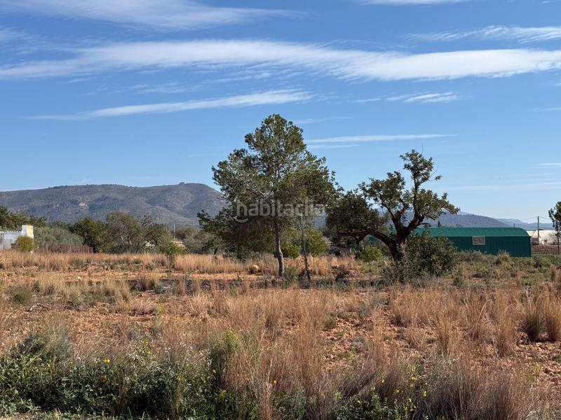 Foto bf712372-6a5e-4ddc-ad35-d8ce99f1ec81. Finca rústica a Urbanizaciones Llíria Foto bf712372-6a5e-4ddc-ad35-d8ce99f1ec81. Finca rústica a Urbanizaciones Llíria