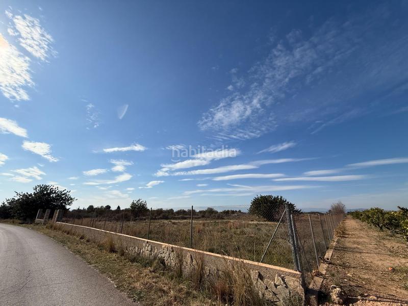 Foto b2361c34-5500-4f57-9a32-d0300be714e6. Fondo rustico in Urbanizaciones Llíria Foto b2361c34-5500-4f57-9a32-d0300be714e6. Fondo rustico in Urbanizaciones Llíria