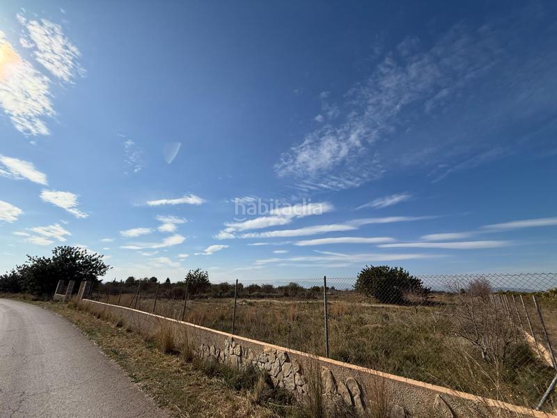 Foto fb19189d-2232-4bd0-b97e-555b882577cd. Fondo rustico in Urbanizaciones Llíria Foto fb19189d-2232-4bd0-b97e-555b882577cd. Fondo rustico in Urbanizaciones Llíria