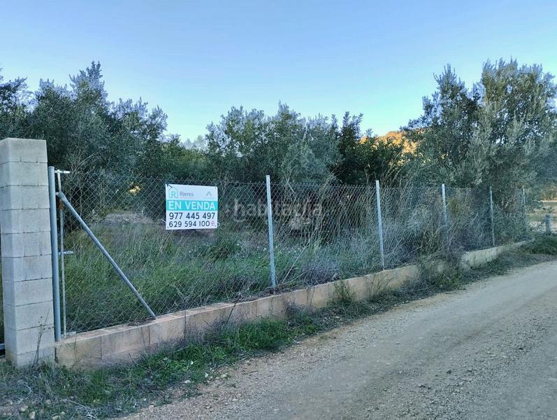 Foto 5a4a8458-00ea-4524-8f12-e622ce7883e8. Propriété dans Xerta Foto 5a4a8458-00ea-4524-8f12-e622ce7883e8. Propriété dans Xerta